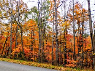 Best of both, private yet convenient, Clifton forge 17 mi, Roanoke 31 mi, Covington 30 mi, Daleville 17 mi ,Lexington 42 mi - 8