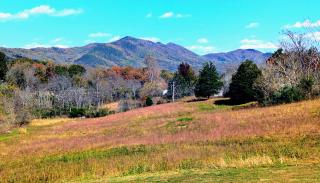 Best of both worlds, private yet convenient, Clifton forge 17 mi, Roanoke 31 mi, Covington 30 mi, Daleville 17 mi ,Lexington 42 mi - 6