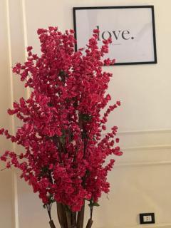 Luxury Fully Furnished Apartment - New Cairo - 6