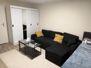 Frankfurt 1 room apartment - 9