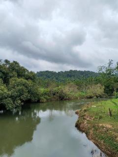 Coffee Estate Stay - Private Room - 4