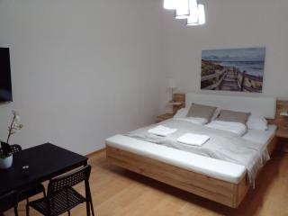 Comfy 2BR shared Apartment in the Centre of Vienna - 0