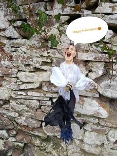 The Old House at Belfield - 8