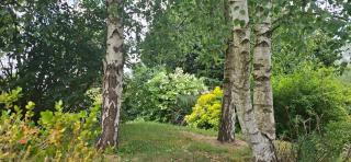 Gîte La Cauvignyere - 2