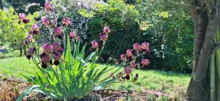 Gîte La Cauvignyere - 5