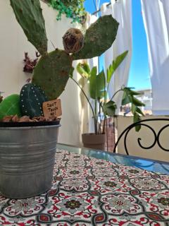 Nicuzzaduci Home - 5