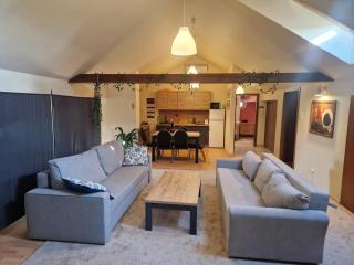 Noclegi Opole-Chmielowice Apartament C - 3