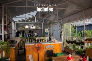 Lazy Cat Homestay - Motorbikes Rental & Tours - 1