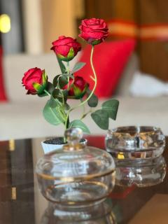 Luxury Studio House Dokki-1 - 4