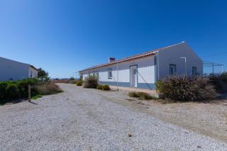 Vinhas Douradas - Moura - 8