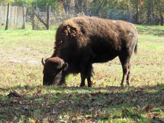 Ottawa Family Nest - Ottawa - 2