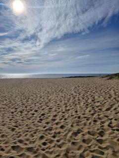 Rental - St Vincent Sur Jard - 8