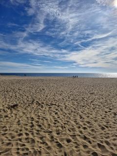 Rental - St Vincent Sur Jard - 6