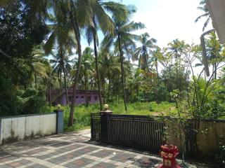 White House Home Stay! - 7