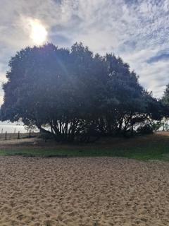 Rental - St Vincent Sur Jard - 2