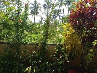 White House Home Stay! - 3