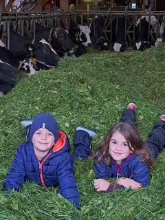 Ferienwohnungen Wendelhof - 4