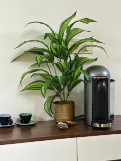 Studio neuf au cœur de centre ville - 4