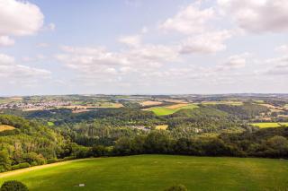 Torridge House Cottages - 6
