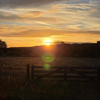 huisje Schouwenberg - 6