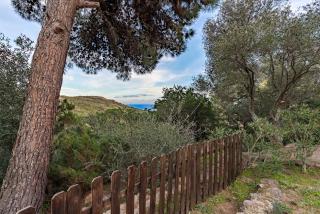 Villa Tarco 40M2 - 4 pers Rondinara Bonifacio - 9