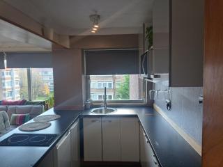 Open space studio in Shawlands - 6