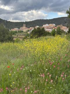 La Ontina Alojamientos Rurales - 4