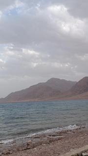 مخيم مبروكه - 8