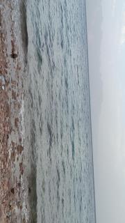 مخيم مبروكه - 9