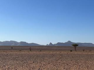 visit bab sahara iriki - 9