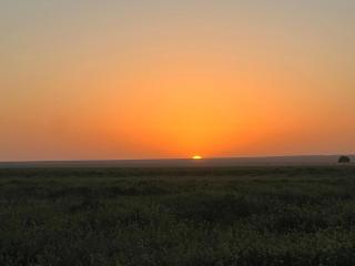 visit bab sahara iriki - 7