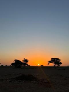 visit bab sahara iriki - 6