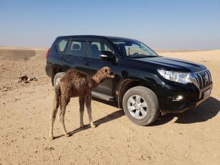 visit bab sahara iriki - 2