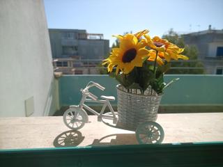 Dolce Mare Gallipoli Baia Verde - 5