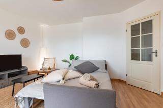 Charming T2 in Frouzins - 3