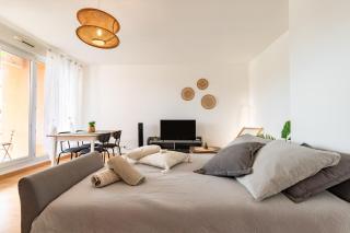 Charming T2 in Frouzins - 1