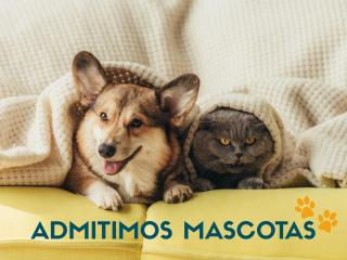 Apartamentos Sallent de Gállego 3000 - 5