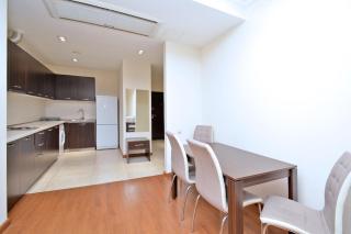 Premium apartment near Republic Square - 7