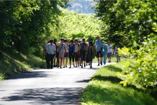 Weingut Ilmbacher Hof - 1