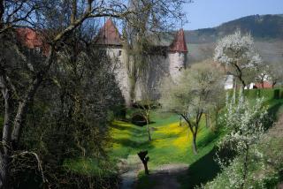 Weingut Ilmbacher Hof - 5