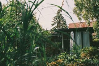 Im Scheunhornweg - 9