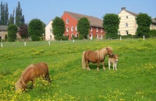 Bungalowpark Landsrade - Geschakelde bungalow 4 - 1