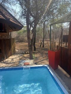 Sunbirds at Kruger - 7