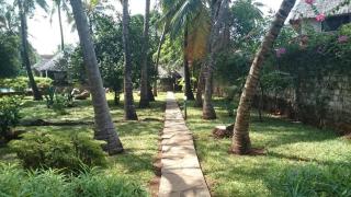 Villa con piscina e baobab - 2