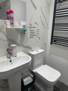 Luxury 1 Bedroom Back House In Lakeside - 4