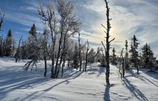Stunning Home In Sjusjøen With Sauna - Sjusjøen - 5