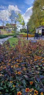 Boróka Apartmanház - 2