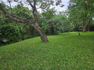 Nombango Guest House - 8