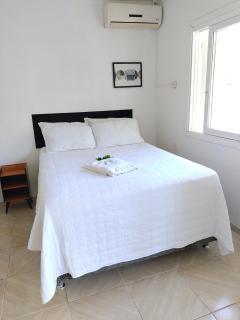 Refúgio dos pássaros - 9