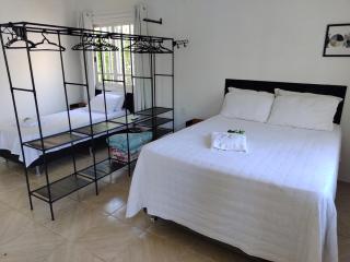 Refúgio dos pássaros - 5